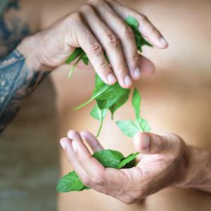  Shower gel 3 in 1 for men Energy of mint bottle 500 ml