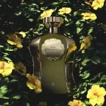 Afnan Highness X Eau de Parfum for Men