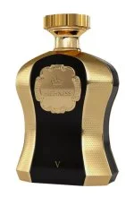 Highness Black V W parfémovaná voda 100 ml