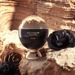 Souvenir Desert Rose U 100 ml + body lotion 100 ml + shower gel parfémovaná voda