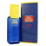 Agua Quorum Eau de Toilette for Men 100 ml