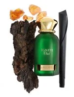 Ignite Oud U parfémovaná voda 60 ml