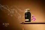 Ignite Oud U parfémovaná voda 60 ml