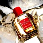 Ambassadora For Women Eau de Parfum for women 100 ml