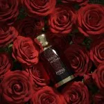 1950 Sunset in Dubai U parfémový extrakt 100 ml