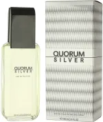 Quorum Silver Eau de Toilette 100 ml for Men
