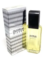 Quorum Silver Eau de Toilette 100 ml for Men