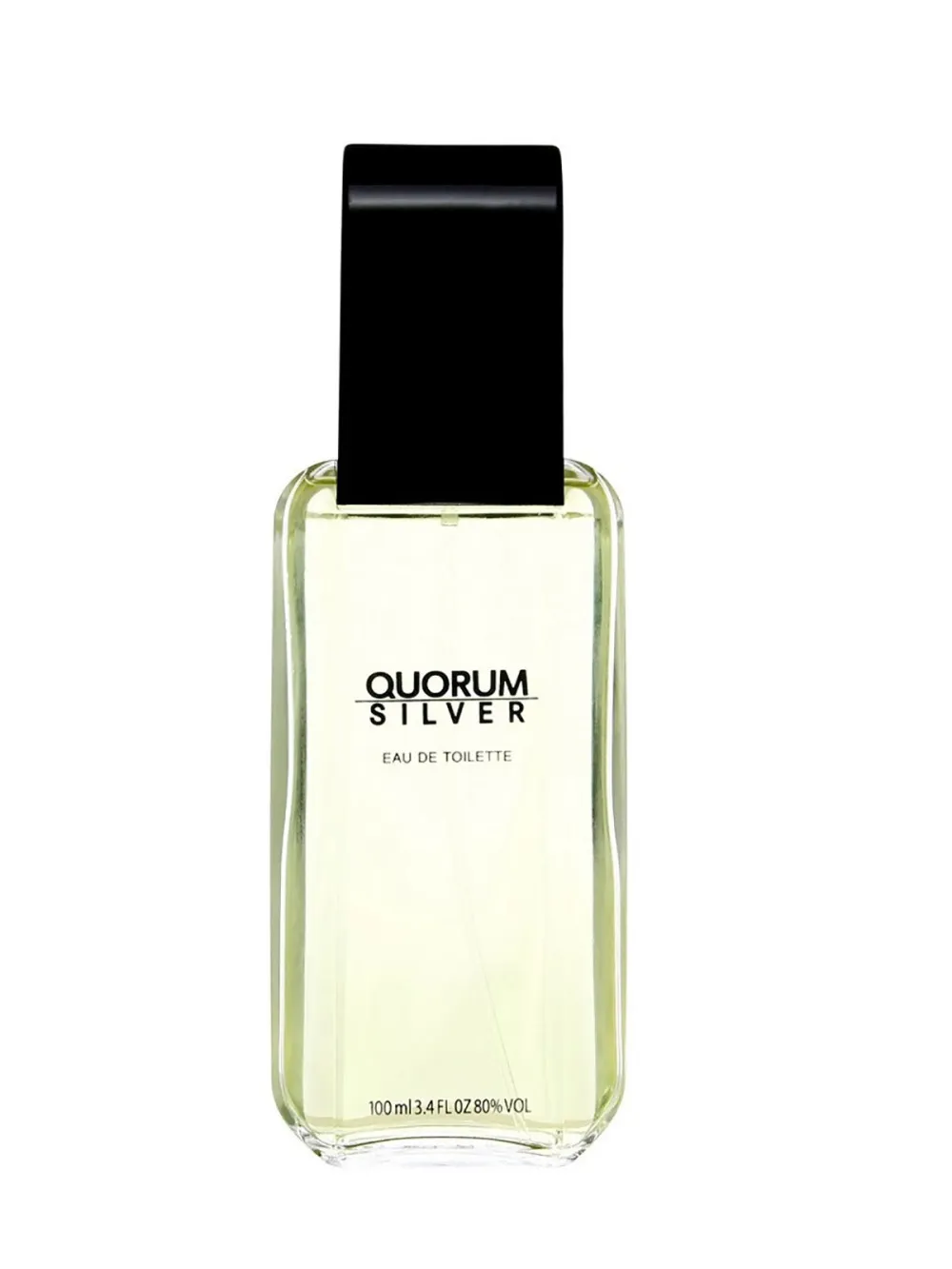 Quorum Silver Eau de Toilette 100 ml for Men