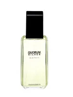 Quorum Silver Eau de Toilette 100 ml for Men