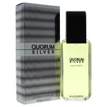 Quorum Silver Eau de Toilette 100 ml for Men