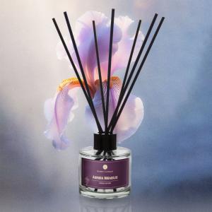 Aroma diffuser Aurora Mirabilis