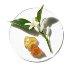 Aromatics in White Eau de Parfum for Women 100 ml