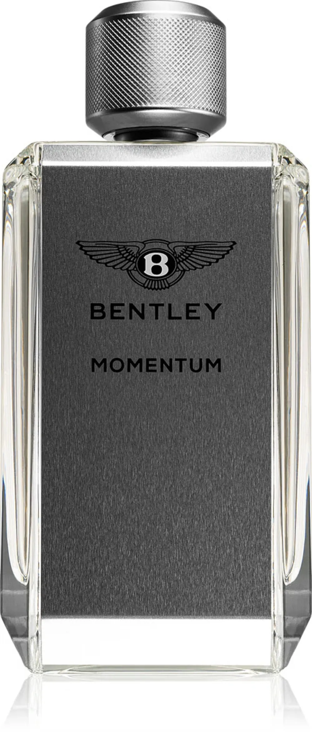 Momentum Eau de Toilette for Men 100 ml