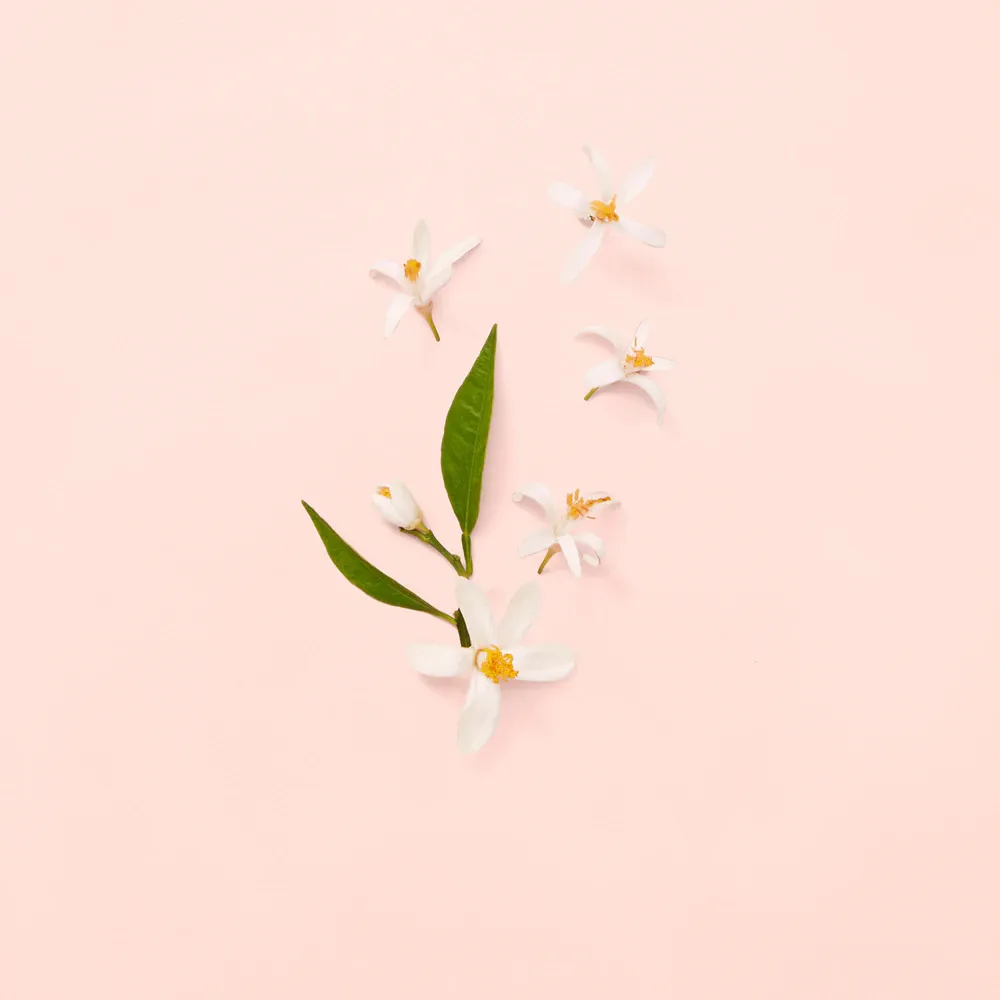 Bloom Eau de Toilette for Women 100 ml