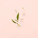 Bloom Eau de Toilette for Women 100 ml