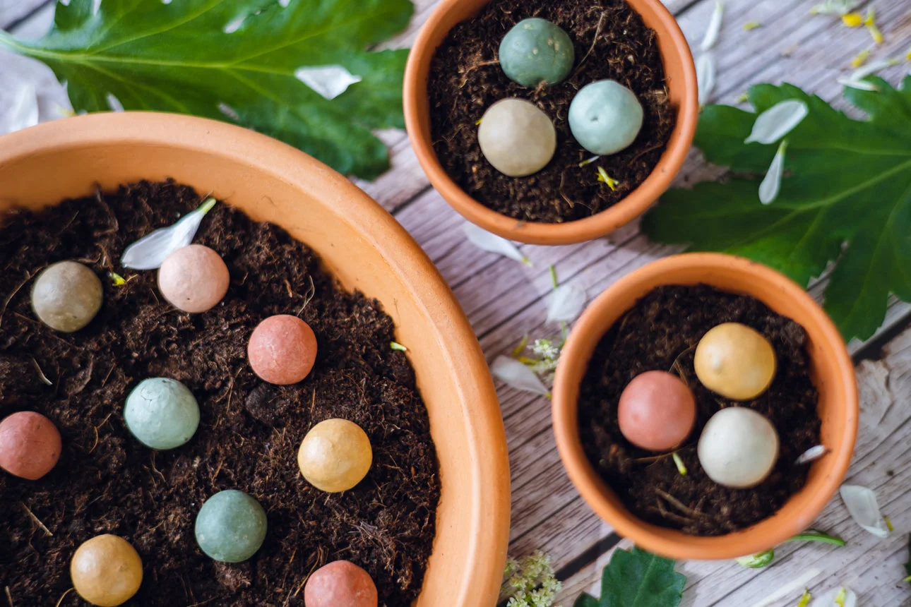 Blossombs Seed Bombs - Small Gift Set - Happy New Home (7 pcs) - an original and practical gift in one