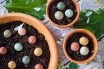 Blossombs Seed Bombs - Small Gift Set - Happy New Home (7 pcs) - an original and practical gift in one