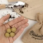 Blossombs Seed Bombs - Mini Gift Set - Herb Garden (4 pcs) - an original and practical gift in one