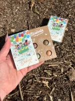 Blossombs Seed Bombs - Mini Gift Set - Thank You a Thousand Times for Everything (4 pcs) - Gift a Flower Differently