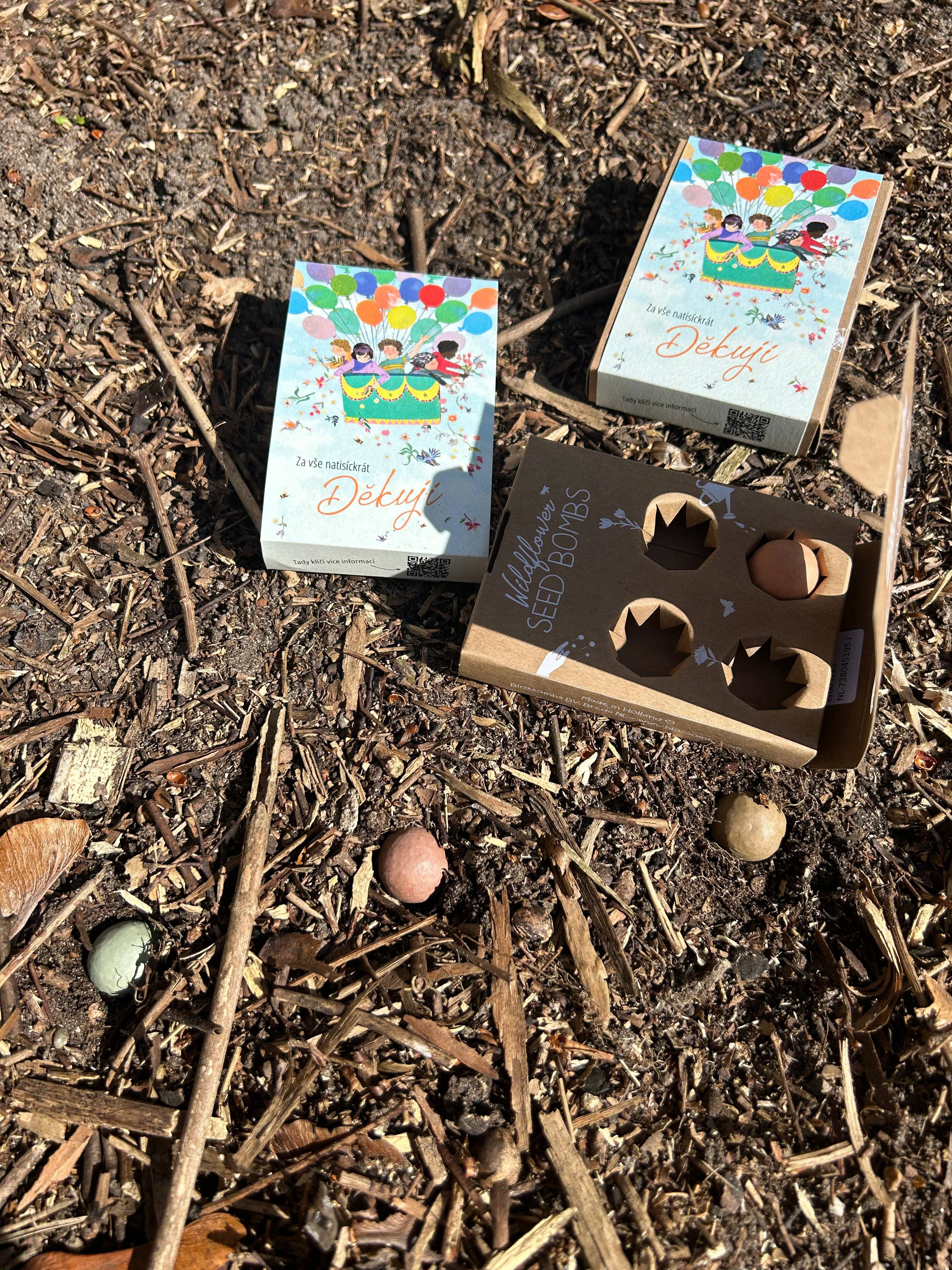 Blossombs Seed Bombs - Mini Gift Set - Thank You a Thousand Times for Everything (4 pcs) - Gift a Flower Differently