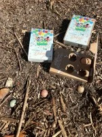 Blossombs Seed Bombs - Mini Gift Set - Thank You a Thousand Times for Everything (4 pcs) - Gift a Flower Differently