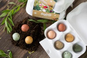 Seed Bombs - Egg Gift Box - Spring (6 pcs) - wild meadow flowers