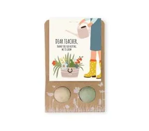 Blossombs Seed Bombs - Small gift for teachers - Flowers (2 pcs)