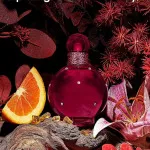 Hidden Fantasy eau de parfum for women 100 ml
