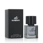 Mr. Burberry Eau de Toilette for Men 50 ml