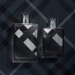 Brit For Men Eau de Toilette for Men 100 ml