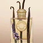 Goddess Eau de Parfum for Women 100 ml