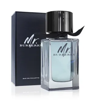 Burberry Mr. Burberry Eau de Toilette for Men 100 ml