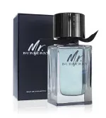 Mr. Burberry Eau de Toilette for Men 100 ml