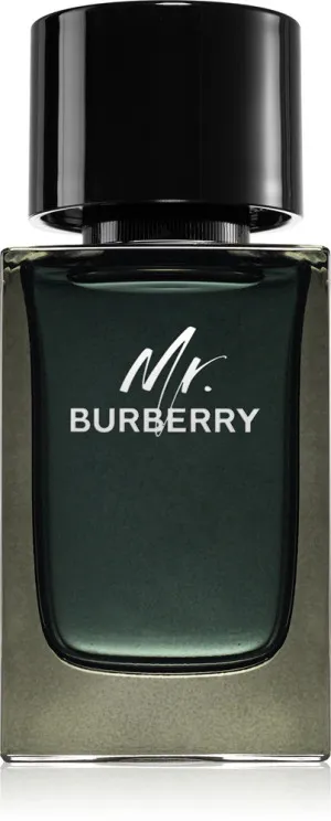 Burberry Mr. Burberry Eau de Parfum for Men 100 ml