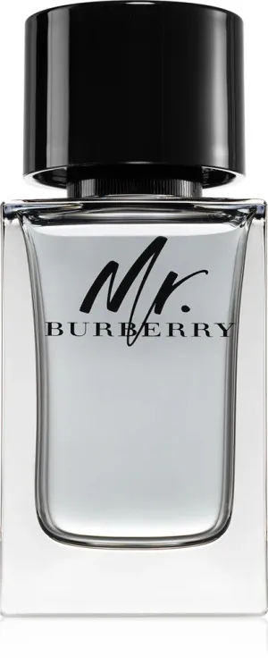 Burberry Mr. Burberry Eau de Toilette for Men 100 ml