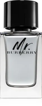 Mr. Burberry Eau de Toilette for Men 100 ml