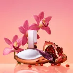 Euphoria Eau de Parfum for Women 50 ml