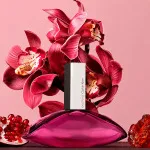 Euphoria Eau de Parfum for Women 50 ml