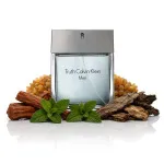 Truth For Men Eau de Toilette 100 ml for Men