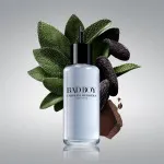 Bad Boy Eau de Toilette for Men 100 ml