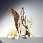 Cashmere Mist Eau de Toilette for Women 100 ml