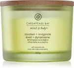 Awaken + Invigorate scented candle with 3 wicks 312 g