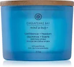 Confidence + Freedom scented candle with 3 wicks 312 g
