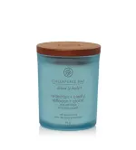 Reflection + Clarity scented candle 96 g