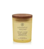Chesapeake Bay Strength + Energy Pineapple Coconut scented candle 96 g