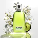 Cologne Come Together Unisex Eau de Toilette 100 ml