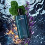 Cool Water Aftershave for Men 75 ml