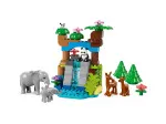 DUPLO® 10446 Wild Animal Families 3 in 1