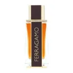 Spicy Leather Eau de Parfum for Men 100 ml