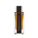 Spicy Leather Eau de Parfum for Men 100 ml